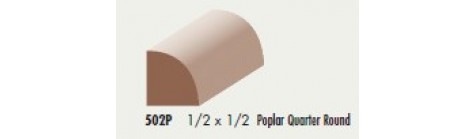 502P