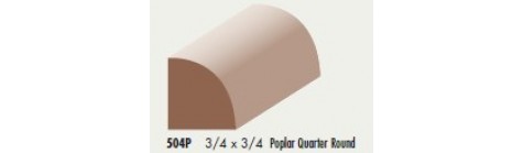 504P