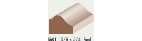E601