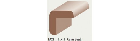 E721