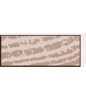 E751